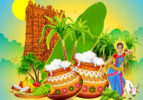 pongal
