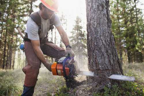 wood chopping